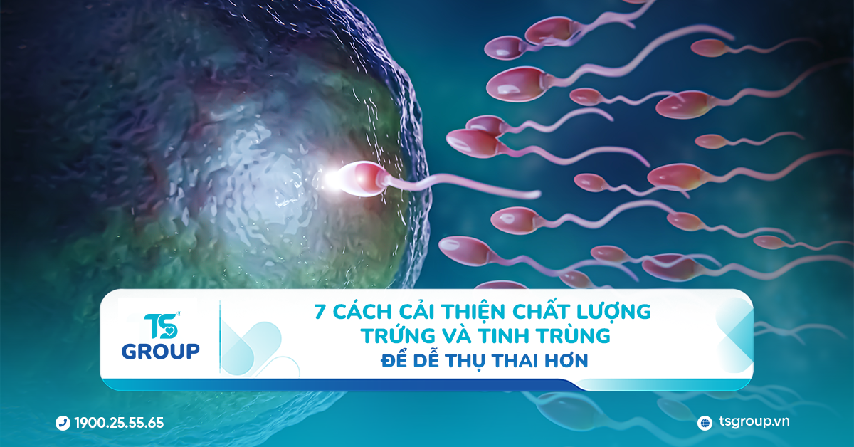 7 cách cải thiện chất lượng trứng và tinh trùng để dễ thụ thai hơn