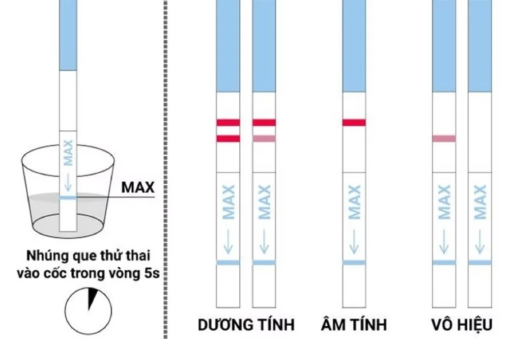 Muốn dễ có thai? Đây là 3 “thời điểm vàng” nên thả bầu trong chu kỳ