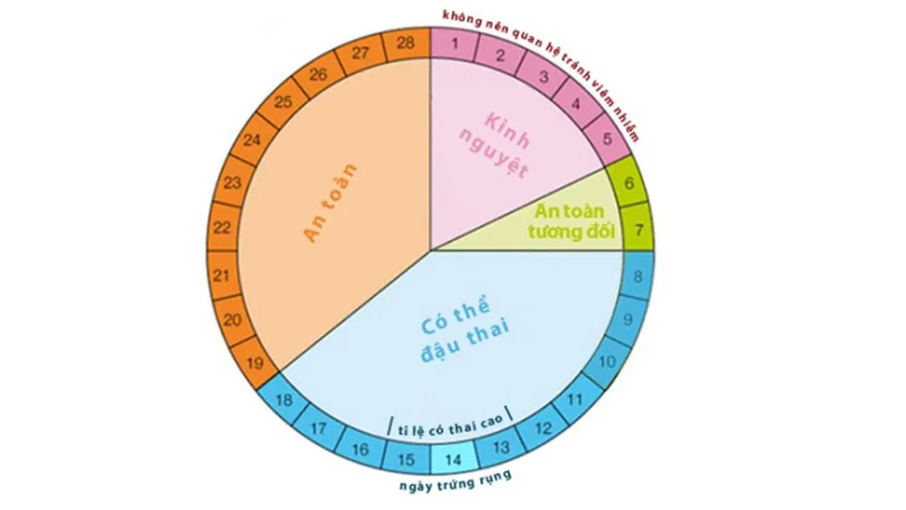Muốn dễ có thai? Đây là 3 “thời điểm vàng” nên thả bầu trong chu kỳ