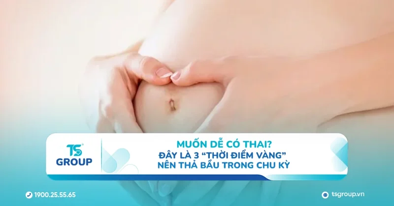 Muốn dễ có thai? Đây là 3 “thời điểm vàng” nên thả bầu trong chu kỳ