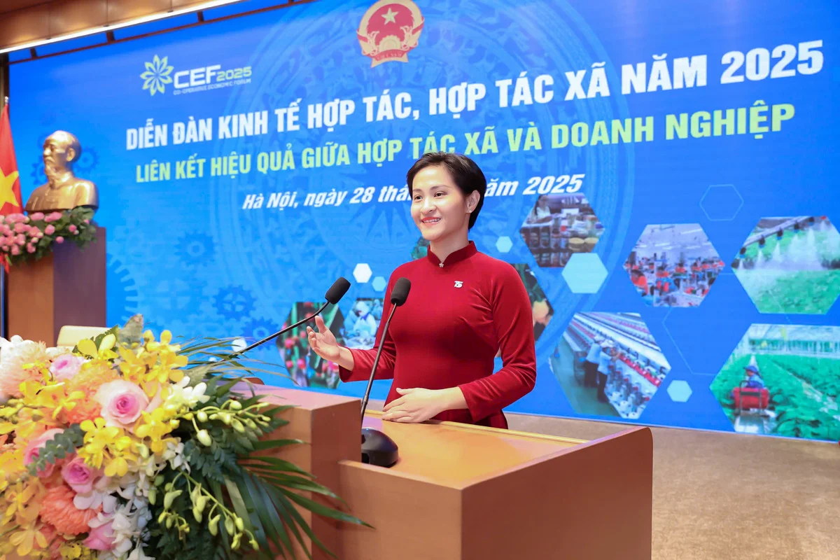 TS Group tham dự buổi tiếp kiến Phó Thủ tướng Mai Văn Chính trong khuôn khổ Diễn đàn Kinh tế