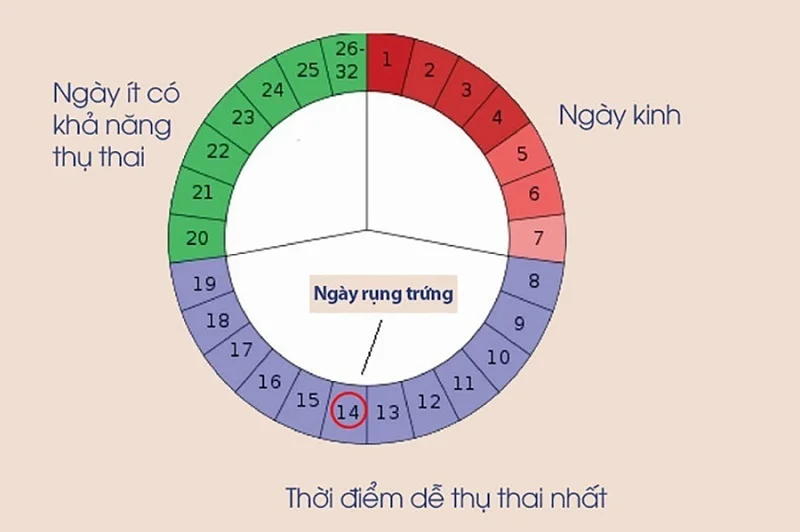 3 trụ cột vàng trong phương pháp INC giúp tối ưu cơ hội mang thai