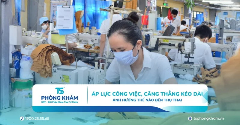 Áp lực công việc, căng thẳng kéo dài ảnh hưởng thế nào đến thụ thai?