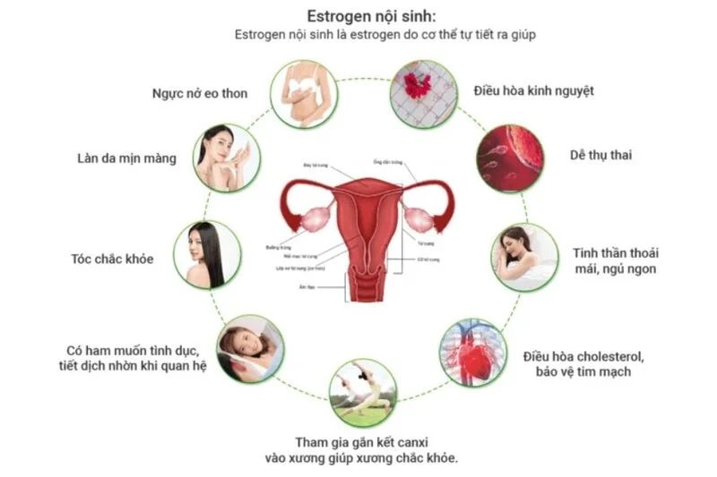 Áp lực công việc cao có gây rối loạn nội tiết, ảnh hưởng thụ thai