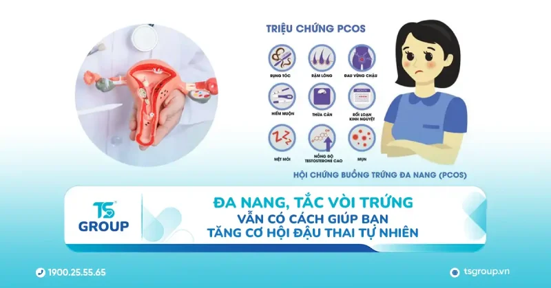 Đa nang, tắc vòi trứng… vẫn có cách giúp bạn tăng cơ hội đậu thai tự nhiên