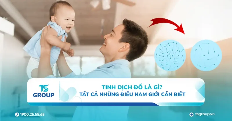 Tinh dịch đồ là gì? Tất cả những điều nam giới cần biết