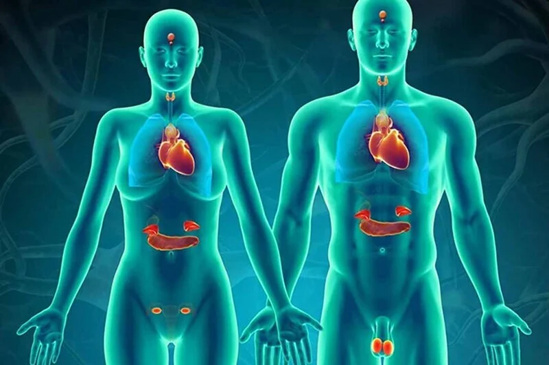 Vô sinh không rõ nguyên nhân – Góc nhìn mới từ INC