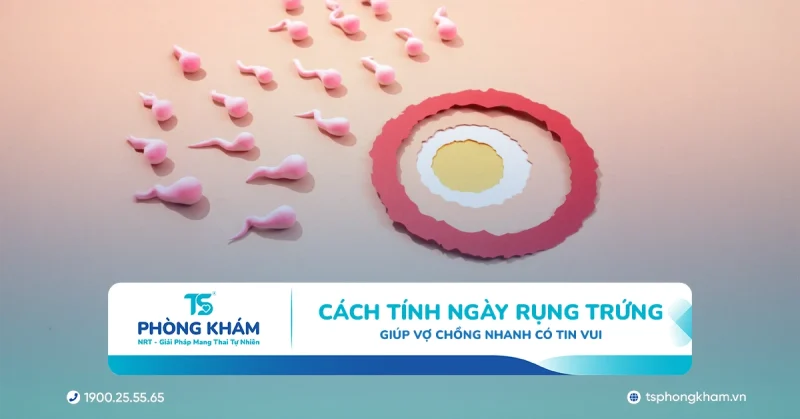 Cách tính ngày rụng trứng giúp vợ chồng nhanh có tin vui
