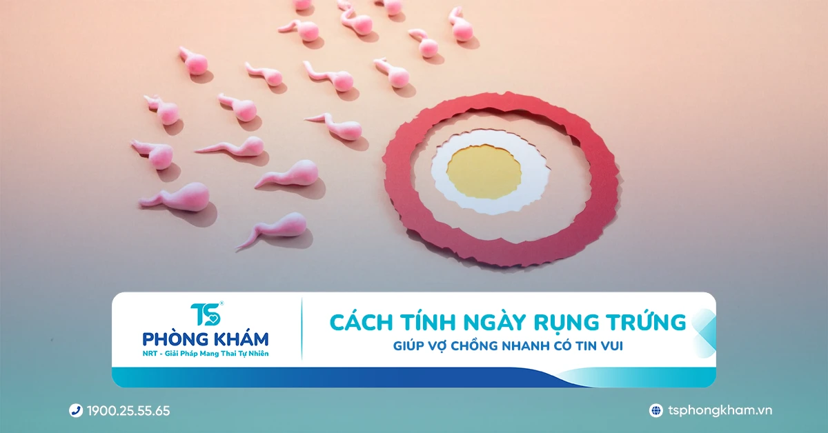Cách tính ngày rụng trứng giúp vợ chồng nhanh có tin vui