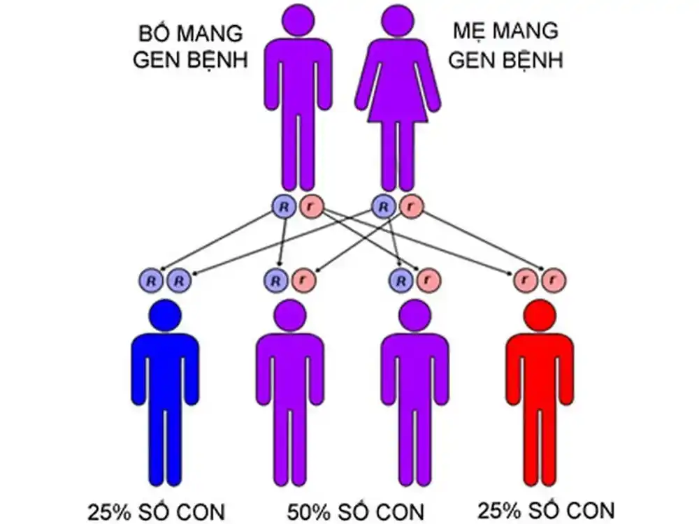 Khám sức khỏe tiền hôn nhân: Đầu tư cho hạnh phúc bền vững