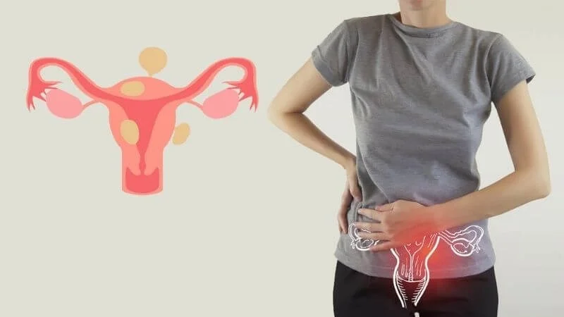 Làm sao để xác định “thời điểm vàng” giúp tăng tỷ lệ thụ thai tự nhiên?