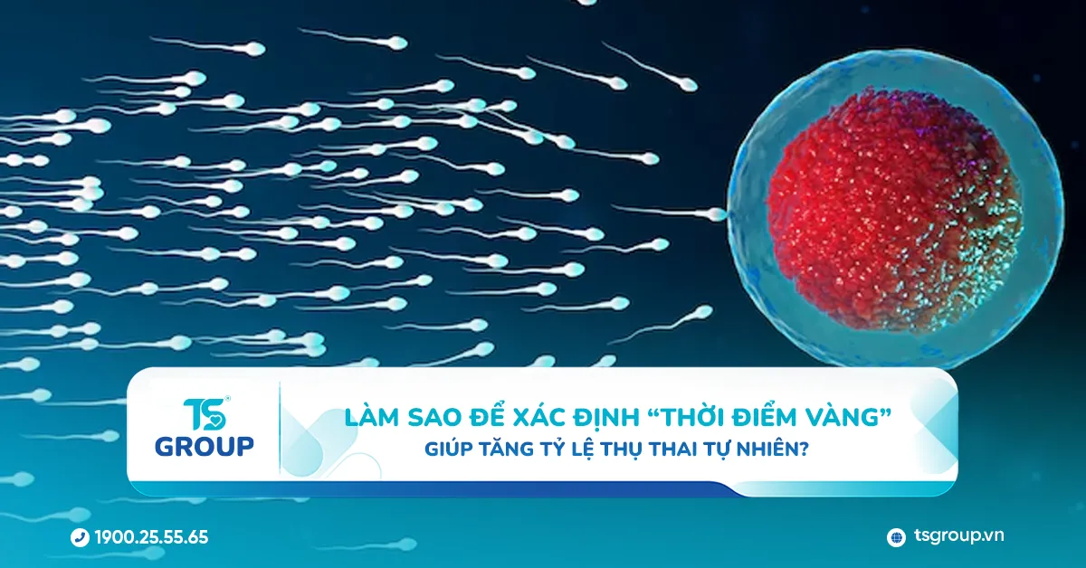 Làm sao để xác định “thời điểm vàng” giúp tăng tỷ lệ thụ thai tự nhiên?