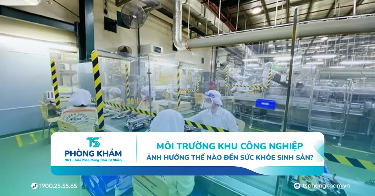 Làm việc trong khu công nghiệp ảnh hưởng thế nào đến sức khỏe sinh sản