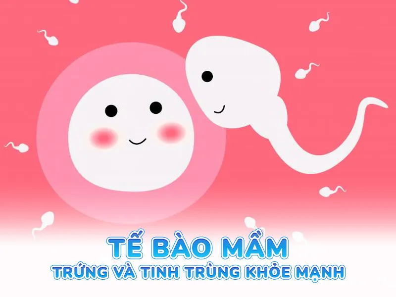 Phân tích 3 trụ cột của phương pháp INC Lợi ích vượt trội cho cặp đôi hiếm muộn