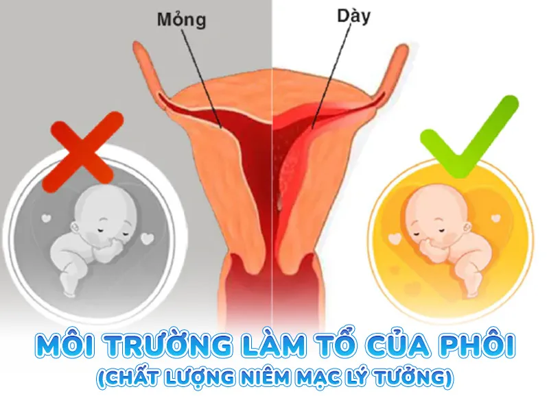 Phân tích 3 trụ cột của phương pháp INC Lợi ích vượt trội cho cặp đôi hiếm muộn