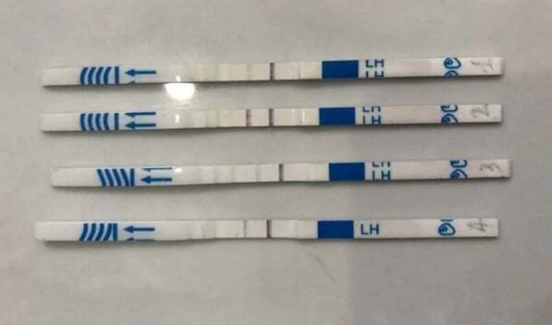 Phương pháp INC là gì? Cách hiểu đơn giản về tư duy mang thai tự nhiên tích hợp đa yếu tố