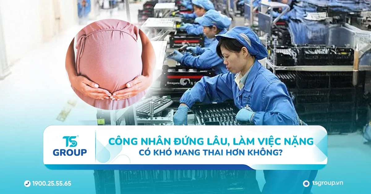Công nhân đứng lâu, làm việc nặng có khó mang thai hơn không
