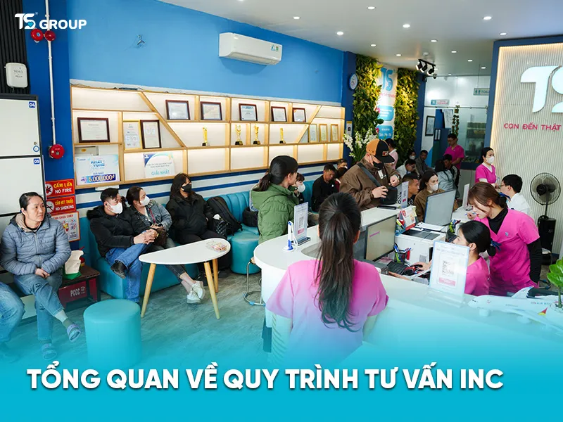 Quy trình tư vấn INC tại TS Group gồm những bước nào